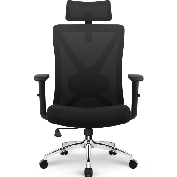 HR210 - Bürostuhl Ergonomischer Bürostuhl,Bürostuhl mit Weiches-3D-Lendenkissen